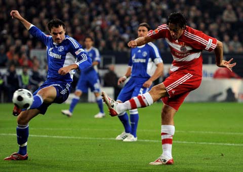 积极争取自 积极争取自